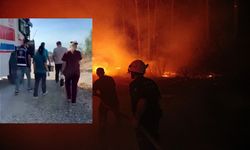 Alanya Belediyesi, Yangında Yaralanan Kaplumbağaya Can Oldu