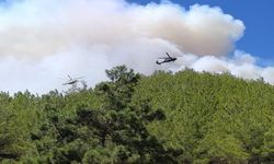 #sondakika:Rüzgâr Yangını Alevlendirdi, Duman Görüşü Daraltıyor