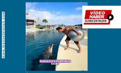 Ünlü YouTuber Fester Abdü’nün Alanya’da çektiği yunus videosu dünya çapında viral oldu!