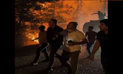 Alanya’da Yangınla Mücadele Sürüyor: Ak Partili Tavlı Sahadan Bildiriyor