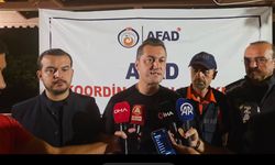 Alanya’daki Yangınların Çıkış Nedeni Kaymakam Tarafından Açıklandı