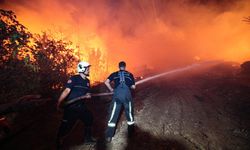 Gazipaşa’da Orman Alarmı: Güneyköy’de Gece Yarısı Yangın