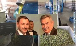 Zeytinyağına Uzanan Yol: Alanya’da Hasat Bereketle Değil, Umutla Başladı