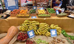 Alanya'da Muz yine sultanda, avokado taht odasında… Sebzenin baş aşçısı ise hâlâ salatalık