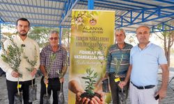 Başkan Özçelik’in Sözleri Gerçek Oluyor: 3400 Zeytin Fidanı Dağıtıldı