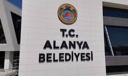 Alanya Belediyesi’nden Sert Tepki: Yavru Köpeğe Alkol İçiren Personel Kovuldu