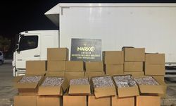 Antalya Polisi’nden Tarihi Operasyon: Milyonlarca Uyuşturucu Hap Yakalandı