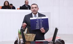 Alanya-Anamur ve Gazipaşa muzu ciddi krizle karşı karşıyaya