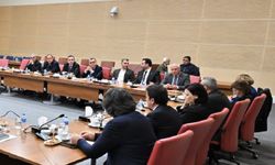 OTELLERDE YANGIN GÜVENLİĞİ: Alanya Temsilcileri Ek Süre İçin mücadele Ediyor