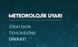Alanya’da Zirai Don Alarmı: Üreticilere Kritik Uyarı