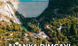 Kimse Beklemiyordu: Dimçayı İçin Kritik Proje Onaylandı