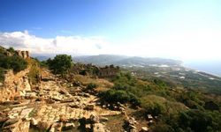 Alanya Syedra’da Toprağın Altından Çıkan Sır: Antik Kent Bir Zeytinyağı Deviymiş