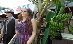 Alanya Afete Direndi, Üretimi Bırakmadı: Türkiye’nin Muzu Bu İlçeden Çıkıyor