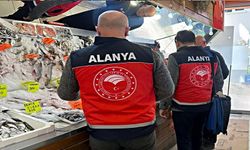 Alanya’da Balık Satan İşletmelere İnce Ayar Denetim