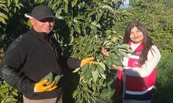 Alanya Tarımında Bilinçli Üretim Hamlesi