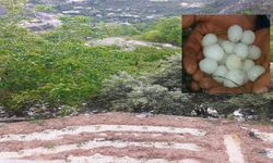 Toroslar’da Şaşırtan Doğa Olayı: Kar Eriyen Dağlara Bu Kez Dolu İndi