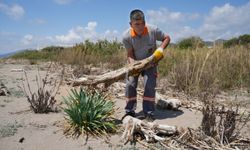 ALANYA DEMİRTAŞ’TA ÖYLE BİR ŞEY OLDU Kİ… CARETTA’LAR VE ZAMBAKLAR RAHATLADI!