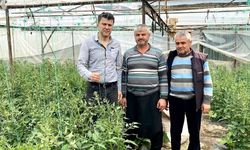 Özçelik’ten Üretici İçin 10 Maddelik Yol Haritası: “Alanya Tarımda Lojistik Üs Olabilir”