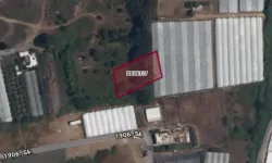 Alanya’da dev Hazine arazisi satışta