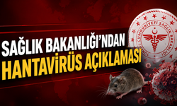 Sağlık Bakanlığı’ndan Hantavirüs Açıklaması