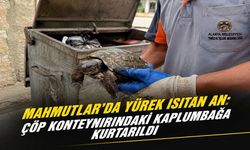 Mahmutlar’da Duygulandıran Olay: Çöpün İçinden Kaplumbağa Çıktı
