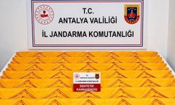 Alanya’da Otel Odasına Jandarma Baskını! Yarım Milyondan Fazla Kullanımlık Uyuşturucu Ele Geçirildi