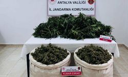 Uyuşturucu Operasyonu: Ev ve Arazide Şoke Eden Miktar