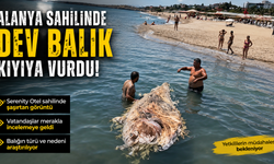 Serenity Otel Sahilinde Şaşırtan Görüntü: Dev Balık Karaya Yaklaştı
