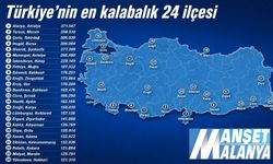 Alanya Yıllardır Bekliyor! Nüfusu 24 İlden Büyük Ama Hâlâ İlçe