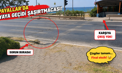 Payallar’da Yaya Geçidi mi, Survivor Parkuru mu?