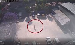 Bu da Oldu! Alanya’da Sokak Kedilerinin Mama Kaplarını Çaldılar