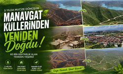 Yangının İzleri Silindi, Umut Yeniden Filizlendi