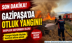 SON DAKİKA | Gazipaşa Aydın Mahallesi'nde Otluk Yangını! Ekipler Hızla Müdahale Etti