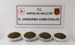 Jandarma Baskınında 2 Kiloya Yakın Kubar Esrar Bulundu