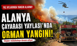 SonDakika :Alanya  Çayarası Yaylası Alevlere Teslim Oldu, Ekipler Zamana Karşı Yarışıyor