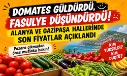 Domates güldürdü, fasulye düşündürdü! Alanya ve Gazipaşa hallerinde son fiyatlar