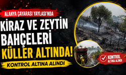 Ormana Sıçramadan Kontrol Altına Alındı! Çayarası’nda Yürekleri Ağza Getiren Yangın