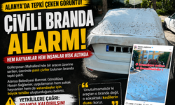 Alanya’da Vicdanları Sızlatan Görüntü