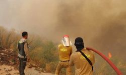 Alanya Alarmda! Yangın Beldibi İstikametine İlerliyor