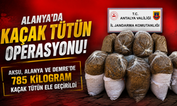 Alanya’da Kaçak Tütün Operasyonu: 785 Kilogram Tütün Ele Geçirildi