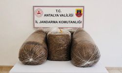 Kaçak Tütün Operasyonu: 365 Kilo Tütün Ele Geçirildi