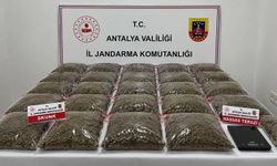 Uyuşturucu operasyonu: 13 şüpheli gözaltında
