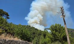 SON DAKİKA: Alanya Tepe Mahallesi’nde Orman Yangını! Helikopterler Havalandı