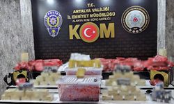 Alanya’da kaçakçılık operasyonu: Binlerce sigara ve yüzlerce şişe içki ele geçirildi
