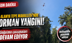 SON DAKİKA: Alanya’daki Orman Yangınında Soğutma Çalışmaları Başladı