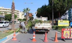 Alanya Belediyesi Park ve Bahçeler Müdürlüğü 7/24 sahada