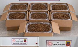 Alanya’da Kaçak Tütün Operasyonu: 210 Kilo Tütün Ele Geçirildi