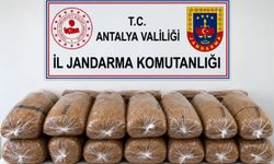 Alanya’da kaçak tütün operasyonu: 144 kilo tütün ele geçirildi