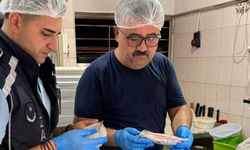 Alanya Avsallar ve Güllerpınarı’nda Gıda Operasyonu: 2 İşletme Faaliyetten Men Edildi