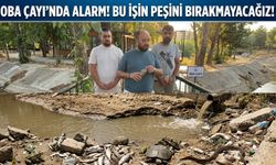 OBA ÇAYI’NDA ÇEVRE FELAKETİ: BİNLERCE CANLI TELEF OLDU!